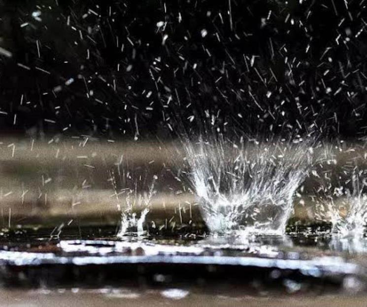 Promoverá NL técnicas verdes