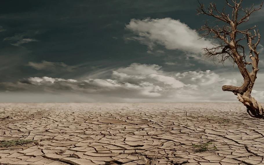 Sequías, riesgo climático para México, advierte Moody’s