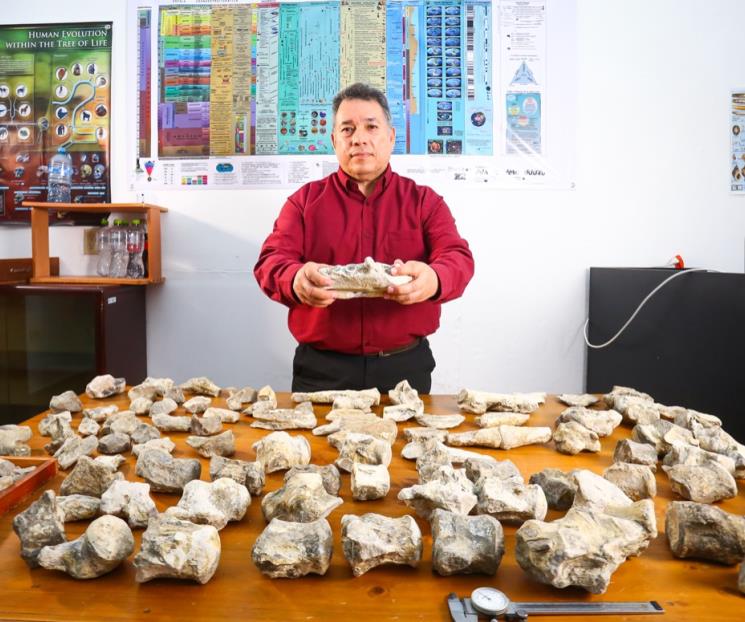 Investiga UANL origen de fósiles hallados en Linares