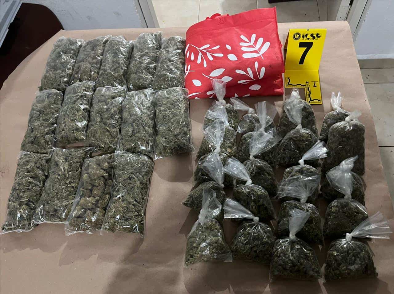 Catean dos domicilios en donde presuntamente se realizaban actividades de narcomenudeo
