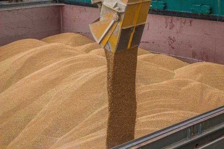 La crisis agraria de Ucrania podría ser catástrofe mundial