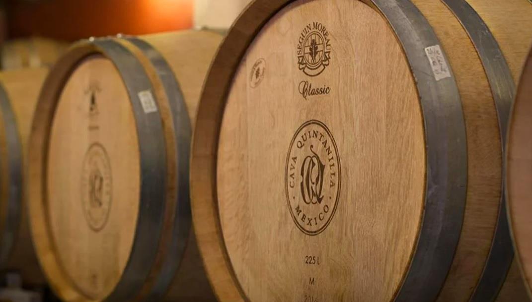Cava Quintanilla, viñedo de SLP