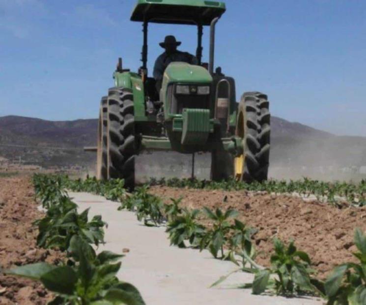 Inicia Inegi Censo Agropecuario 2022