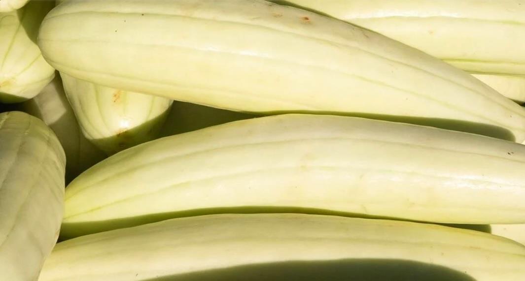 Prueba el dulce de pepino, receta típica de Campeche