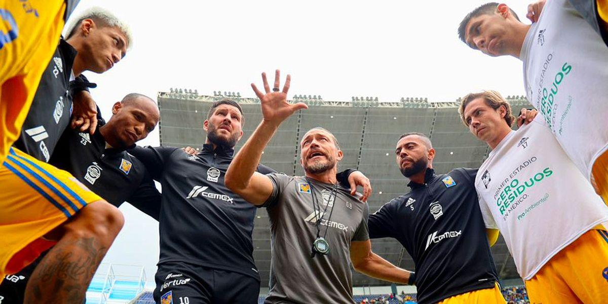 Retoman felinos los entrenamientos