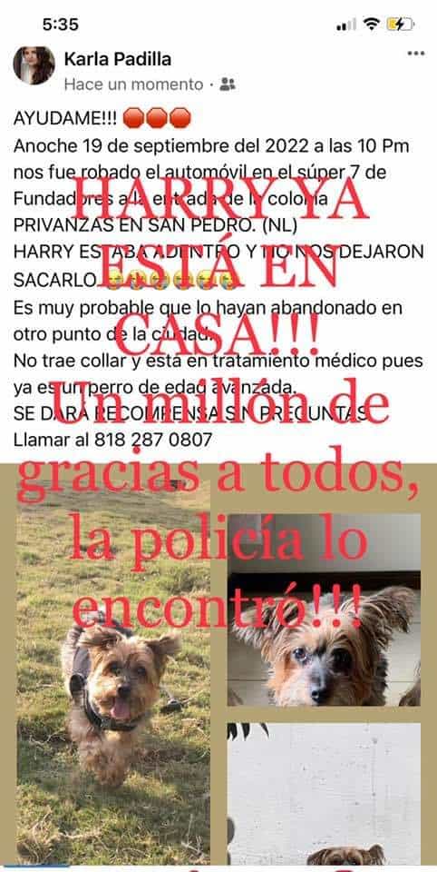 imagen-cuerpo