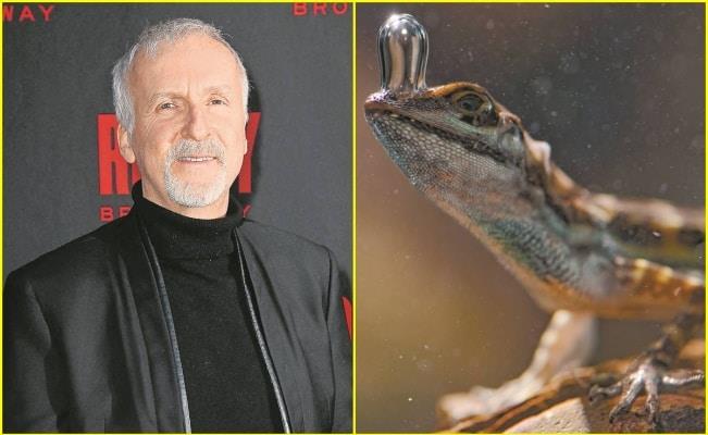 James Cameron se deja maravillar por la naturaleza