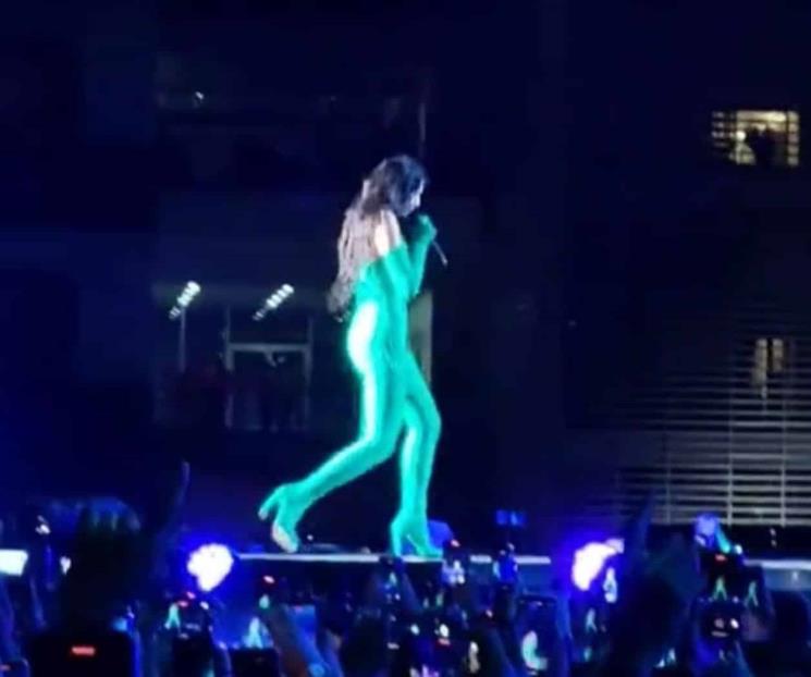 Dua Lipa patea peluche del Dr. Simi en su concierto