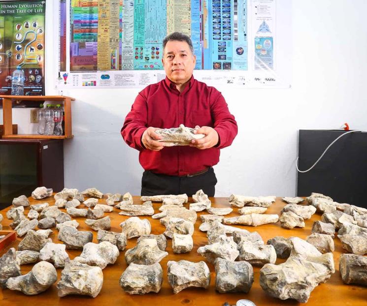 Investiga UANL origen de fósiles hallados en Linares