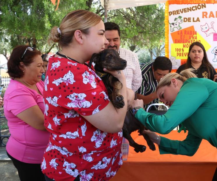 Buscan vacunar a 600 mil mascotas caninas y felinas