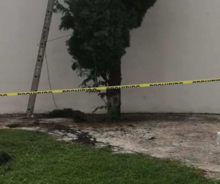 Muere trabajador de iglesia tras caer de un pino