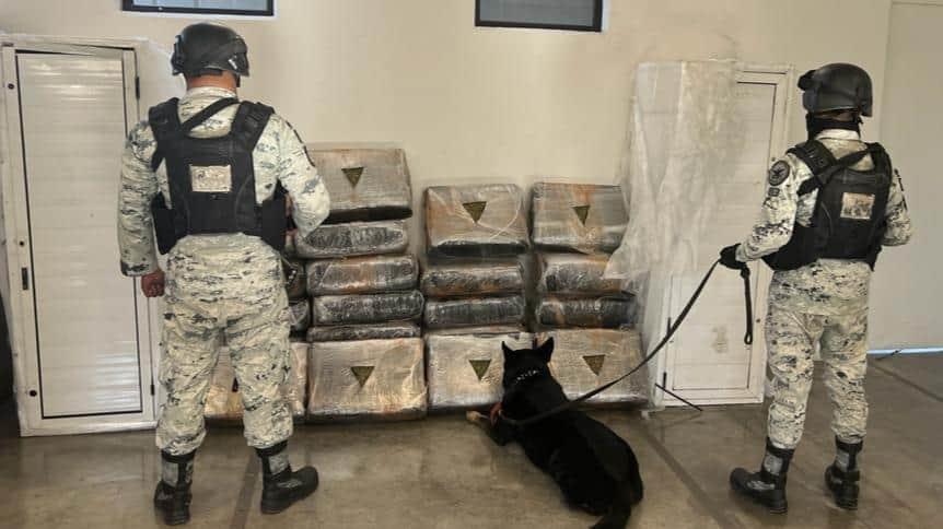 Hallan droga en paquetería