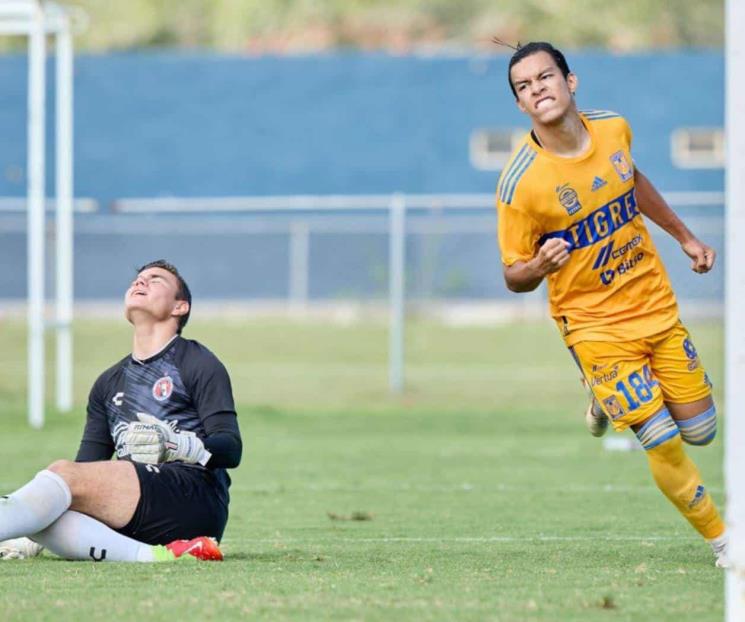 Brilla Tigres en las inferiores y en Rayados es lo contrario