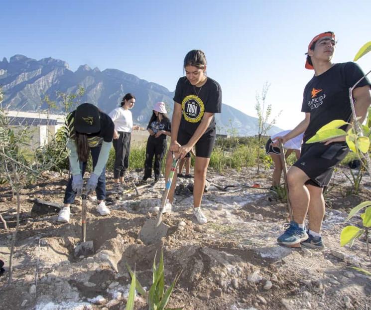 Plantan un bosque Miyawaki en la UDEM