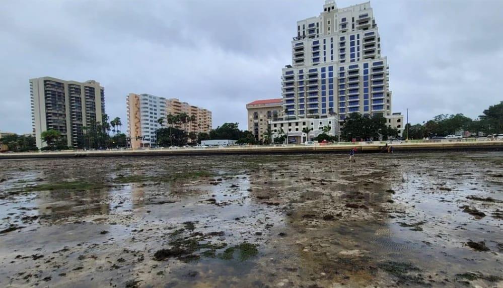 Huracán Ian hace retroceder el agua en la Bahía de Tampa