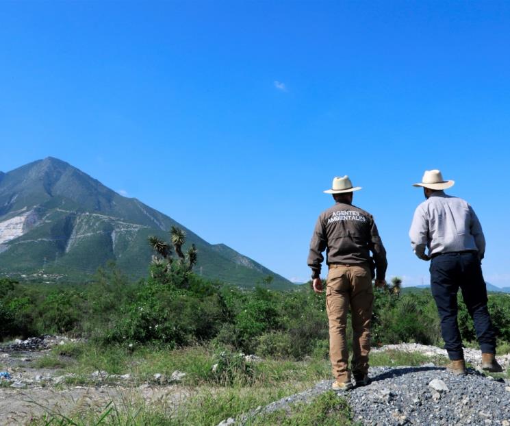 Alertan en Escobedo sobre la presencia de tres osos