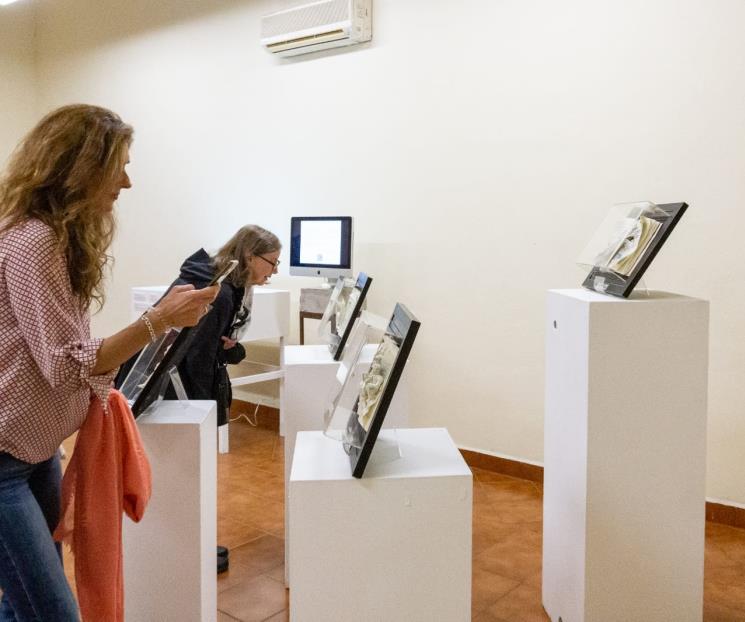 ‘Se apropia poesía visual de plataformas digitales’
