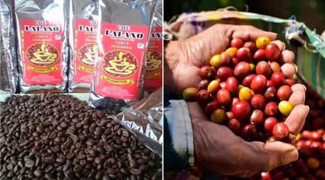 Café potosino y su sabor único
