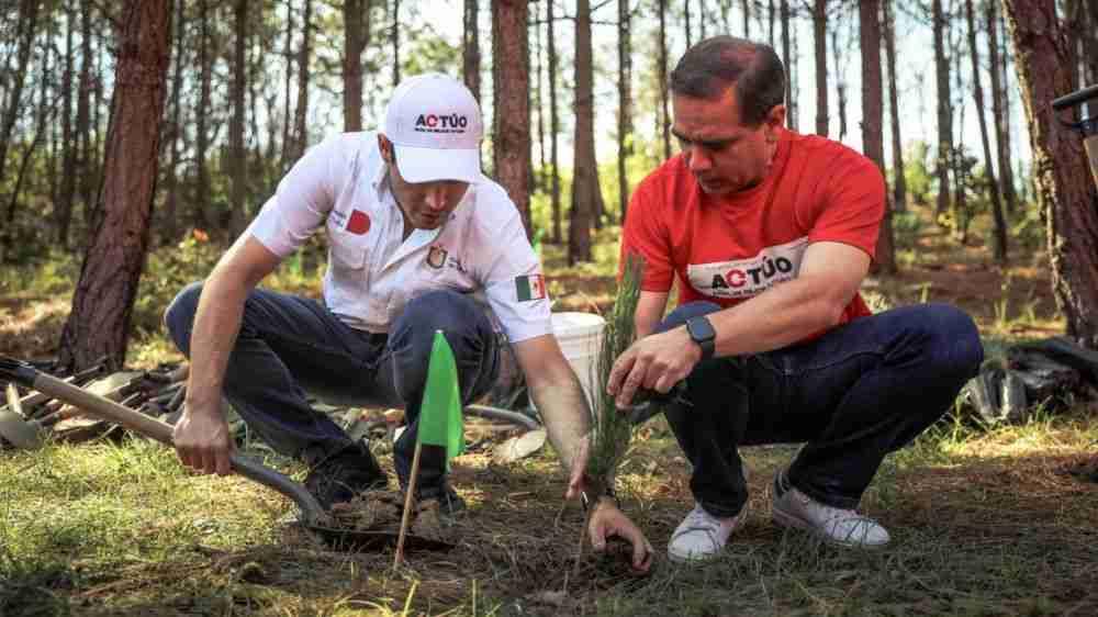 Trabaja IP en reforestación de la sierra de Santiago