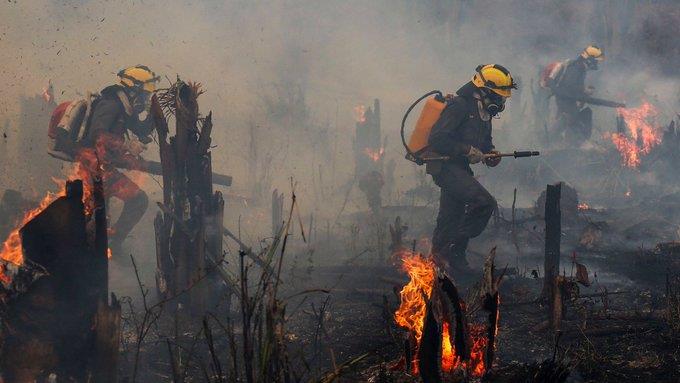 Vive selva los peores incendios forestales en una década
