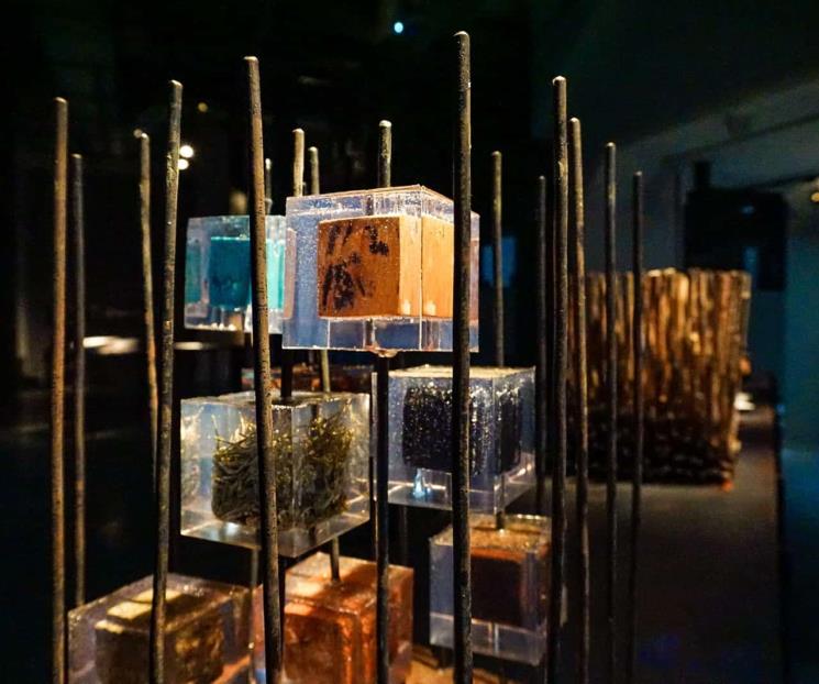 Invita Conarte a disfrutar música, reflexión y diálogo