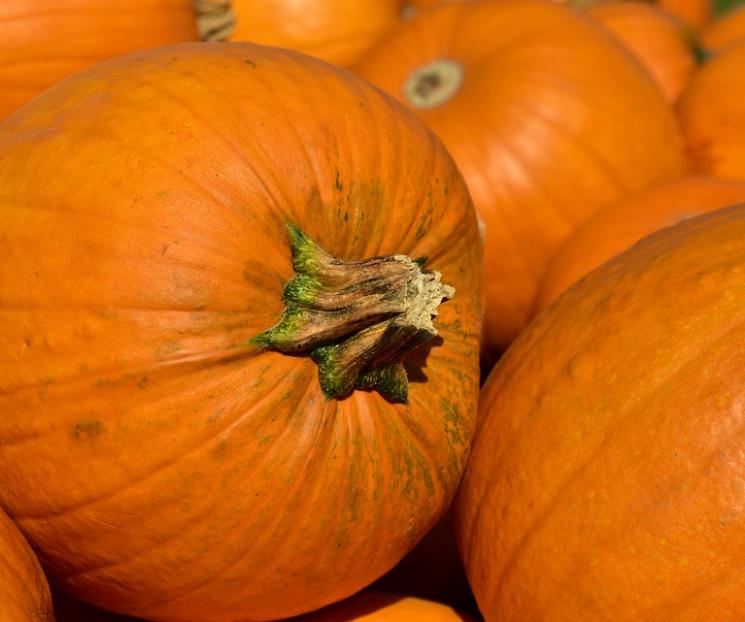 Comer calabaza de castilla beneficia a la salud