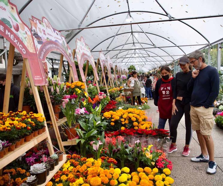 Celebra el Día de Muertos con festival en Jardines de México