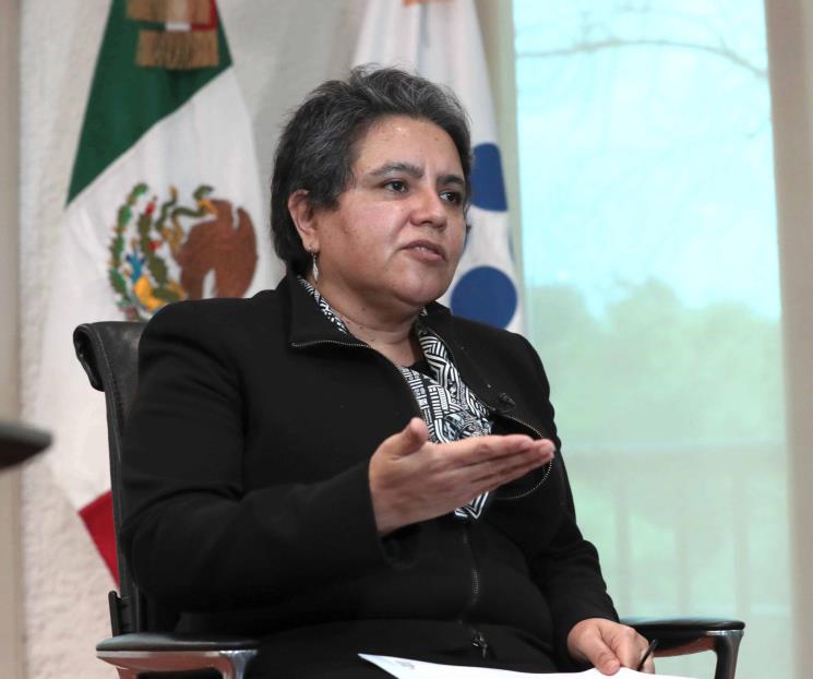 Ahora, Raquel Buenrostro debe evitar panel en el T-MEC