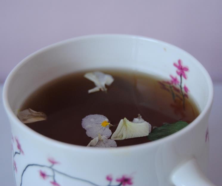 Disfruta los beneficios de la infusión de malva