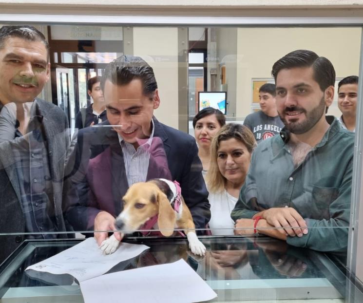 Proponen que desaparezcan las perreras
