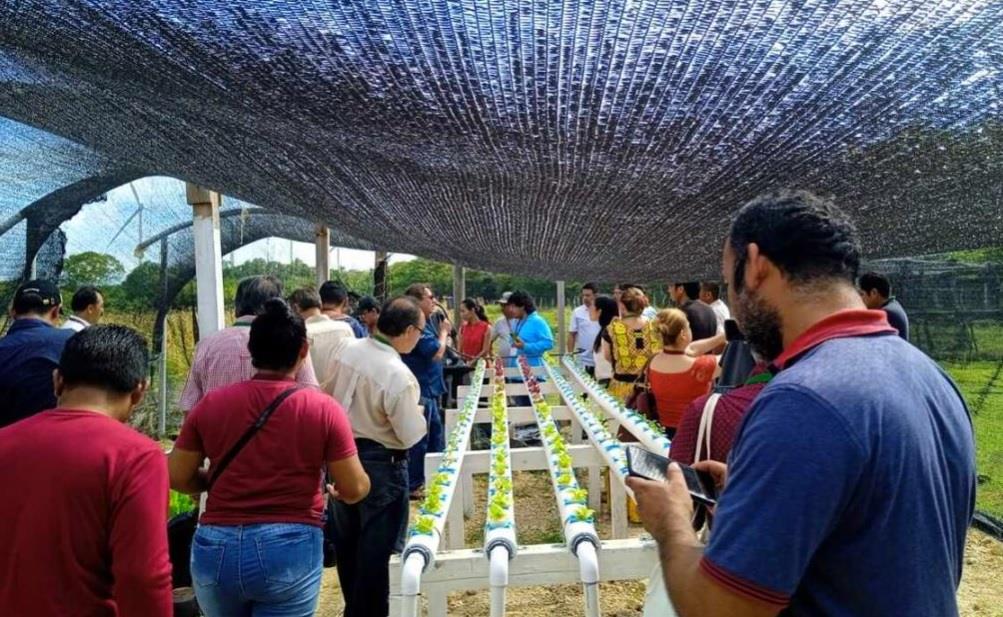 Piden pueblos indígenas de Oaxaca defender maíz nativo