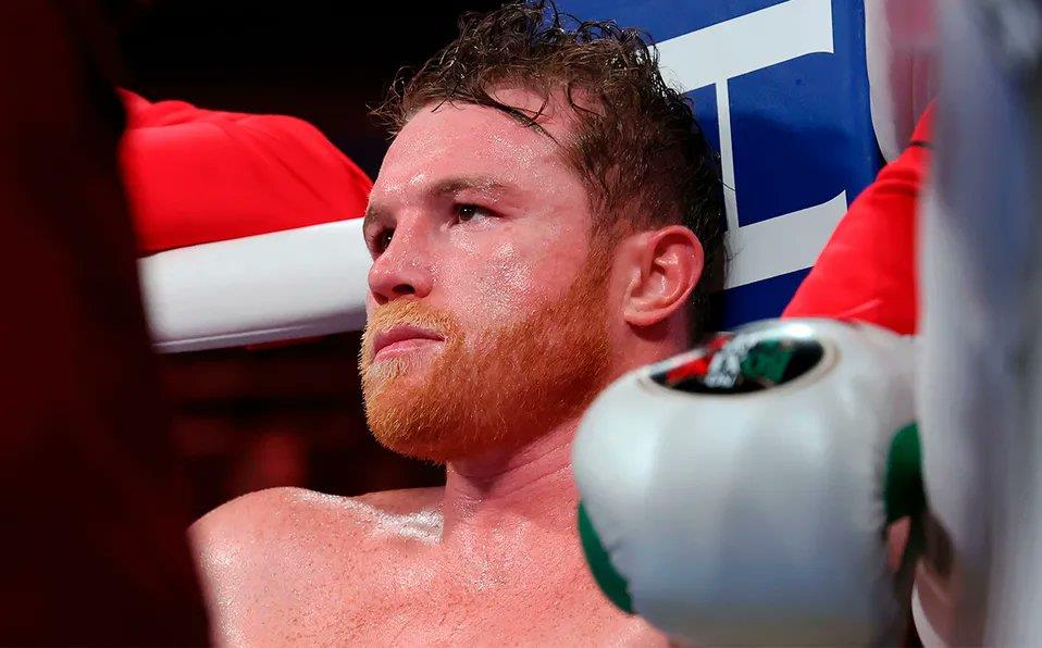 Supera Canelo en popularidad en Latam a Messi