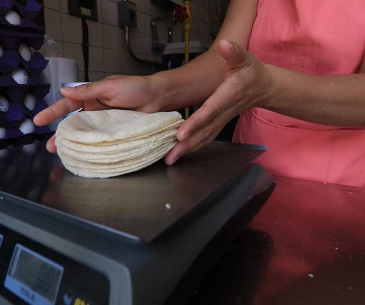 Precio de la tortilla deberá bajar, pero no será pronto