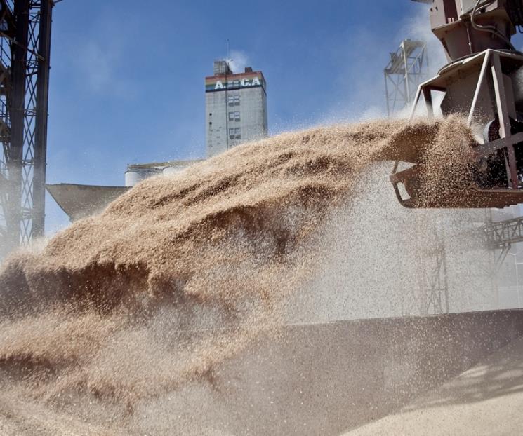 Retrasa Moscú exportación de cereales