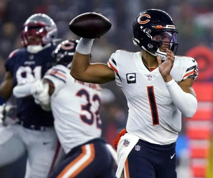 Guía Fields paliza de Osos a Patriotas