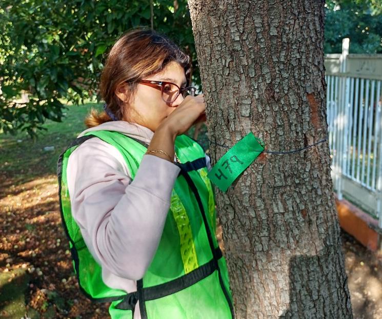 Levantan capital forestal en dependencias universitarias