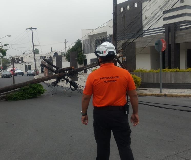 Derriba un poste, cableado y dos transformadores