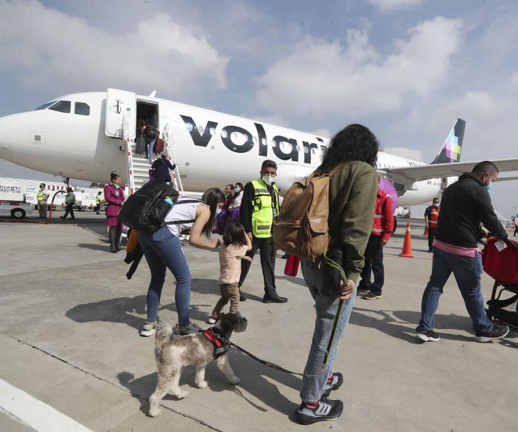 Pide tu indemnización si eres de los afectados de Volaris