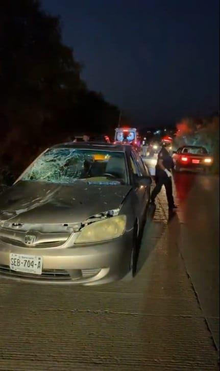 Arrolla caballo con su auto en Allende