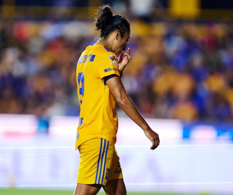 Reclama Tigres roja a Mayor y esperan respuesta positiva