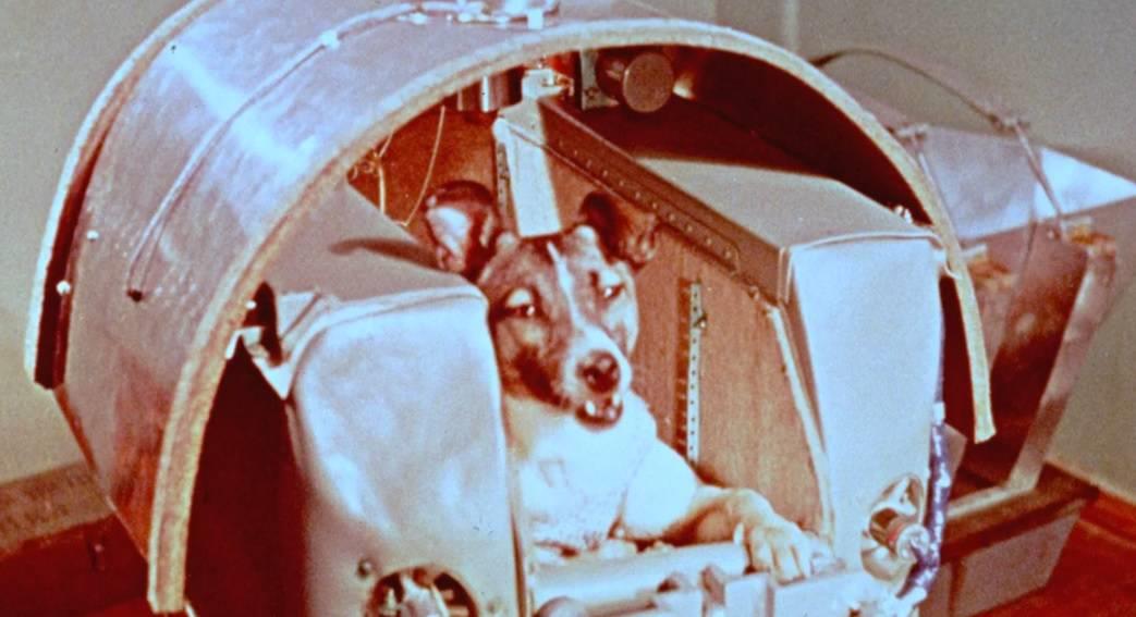 Cuando la perra Laika voló por el cielo de México