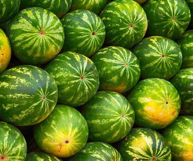 Exportación agrícola aumenta ingresos pese al bajo volumen