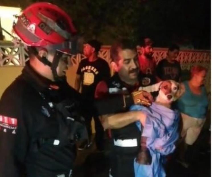 Rescatan a perro que cayó en alcantarilla