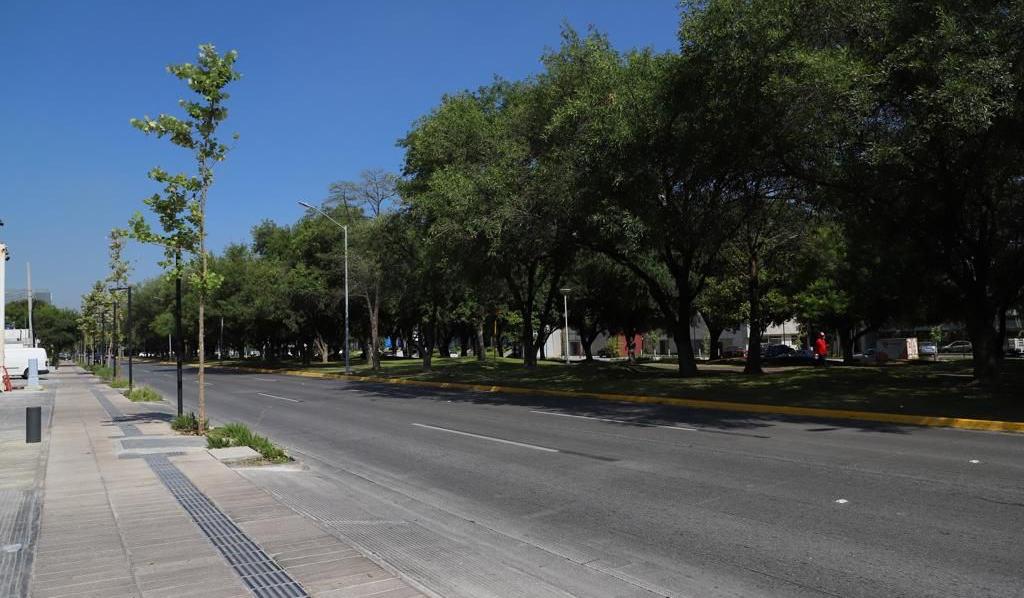 Intervendrá SP parques impactados por la sequía