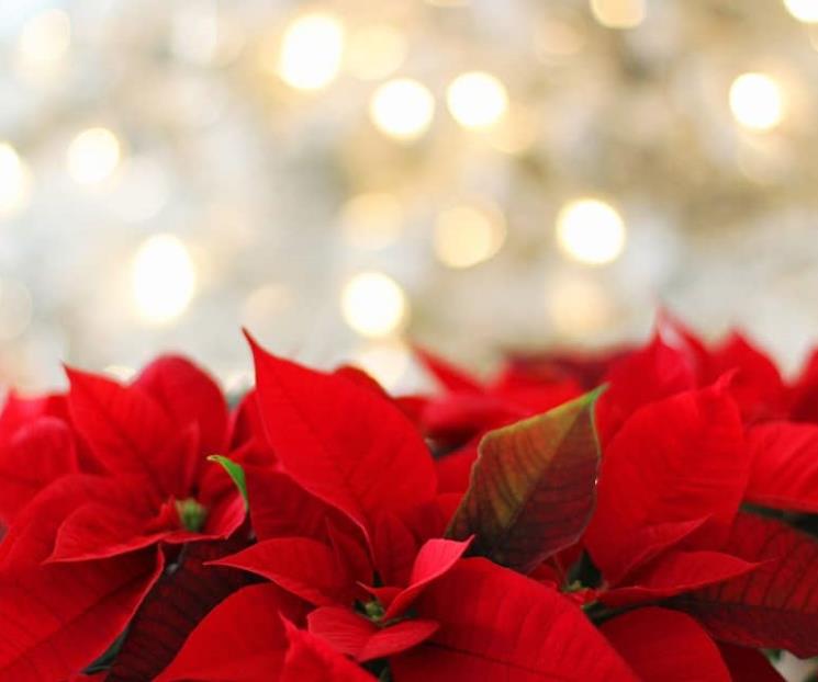 Invitan a emprendedores a la Feria Navideña de SLP