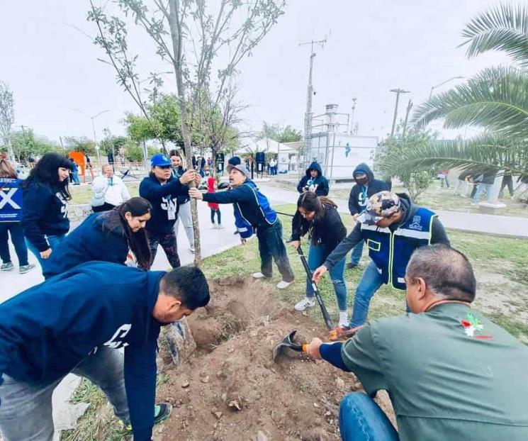 Sembrarán en SN más de mil árboles regionales