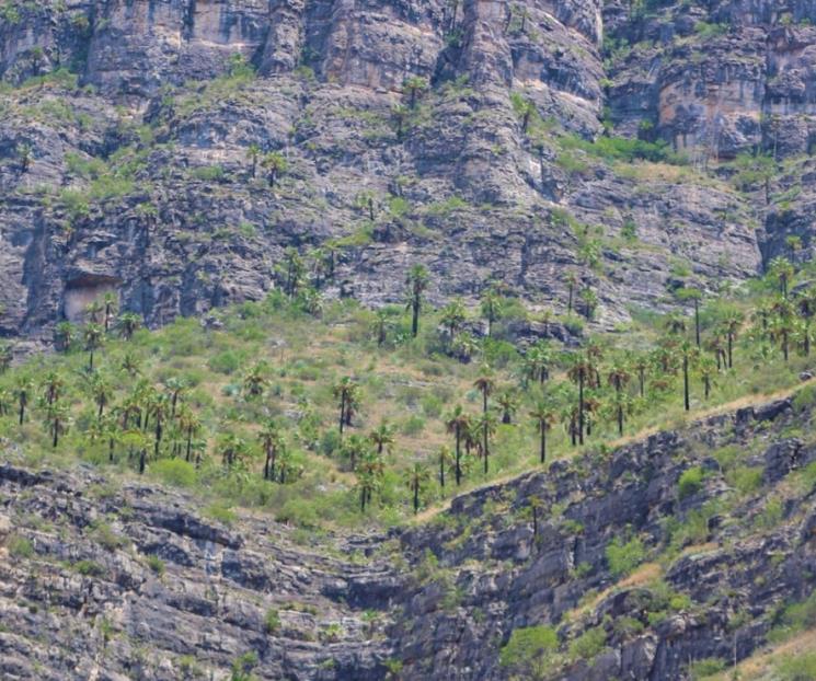 Coahuila tendrá 11 nuevas reservas naturales protegidas