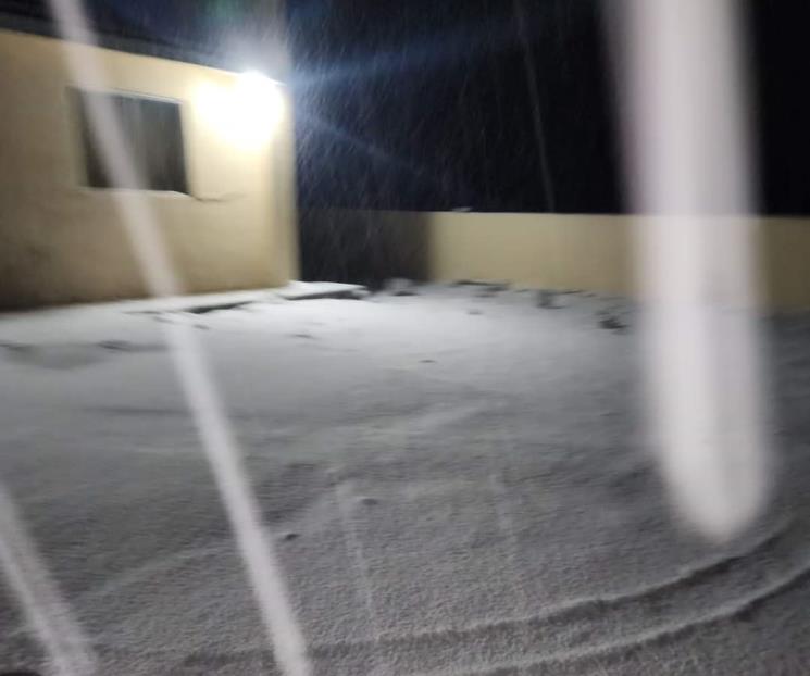 Reporta NL primera nevada en El Potos&iacute;