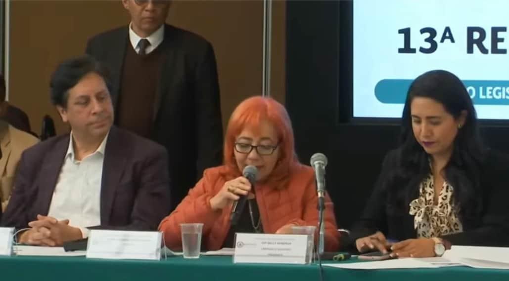 Comparece Rosario Piedra Ibarra ante diputados