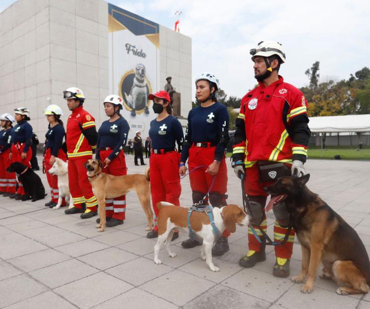Rinden homenaje luctuoso a can rescatista Frida